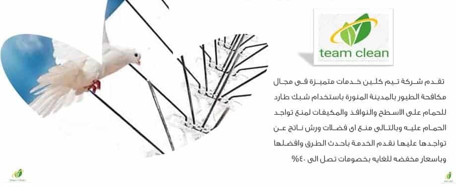 شركة تركيب طارد حمام بالرياض | مكافحة حمام شركة تركيب طارد حمام بالرياض